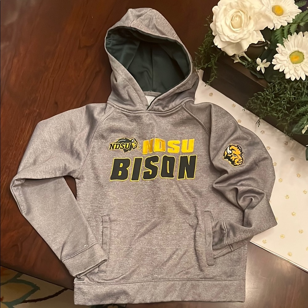 NDSU Bison Gray Hoodie